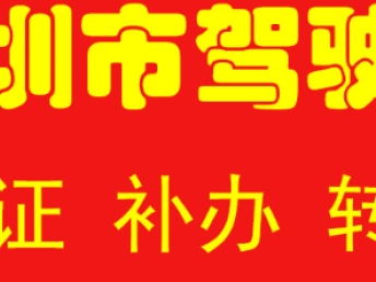 深圳汽車一站式服務(wù)指南 代辦過戶、年檢、綠標(biāo)、違章咨詢與車險(xiǎn)辦理
